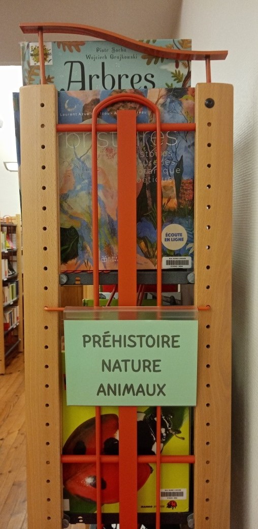 documentaires salle enfants