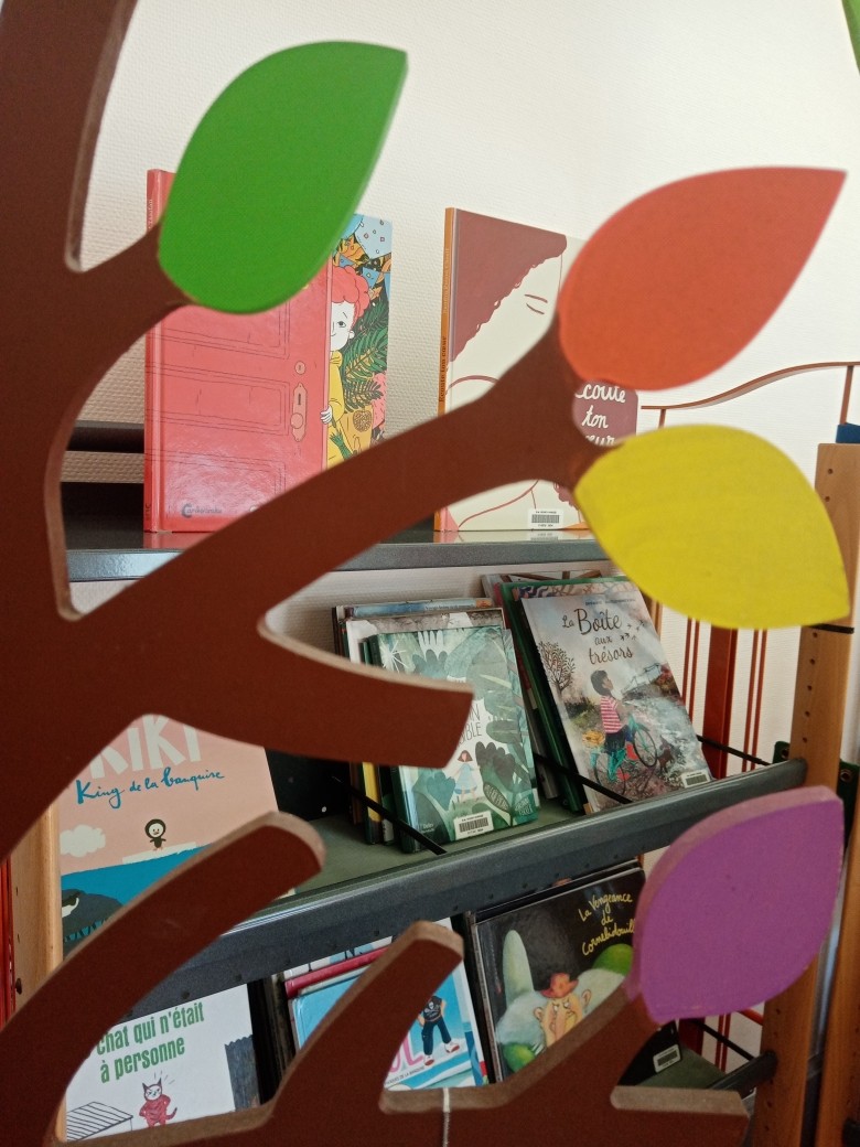 albums, salle enfants